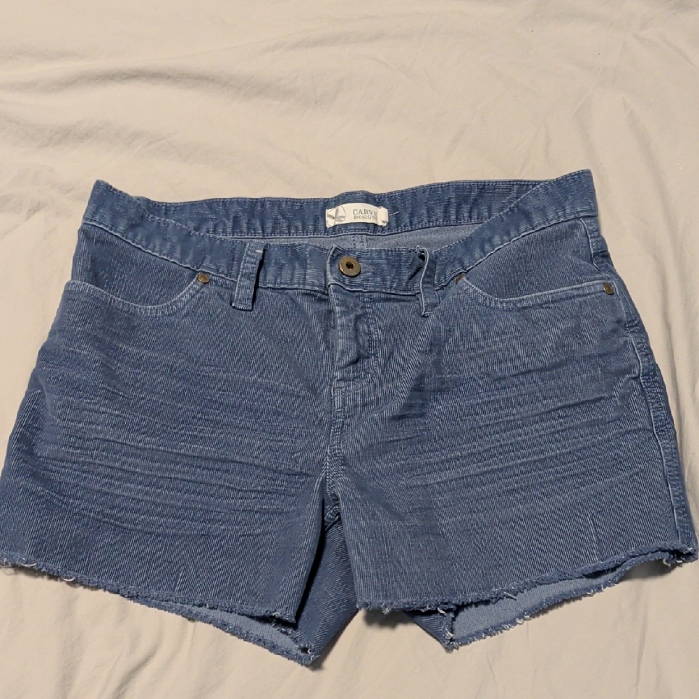 Carve Designs Blue Shorts